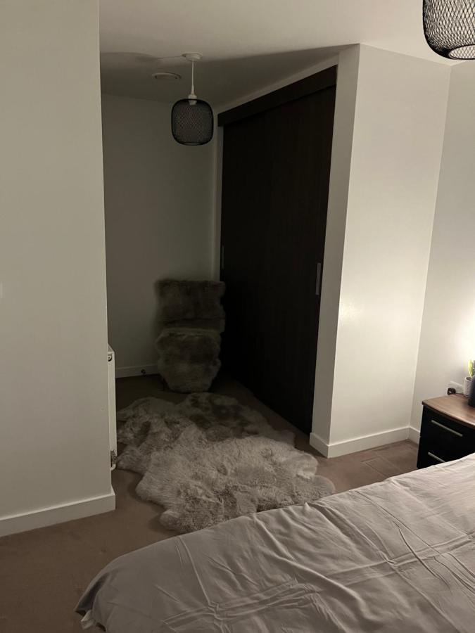 Luxurious Dlr Apartment London Exterior foto